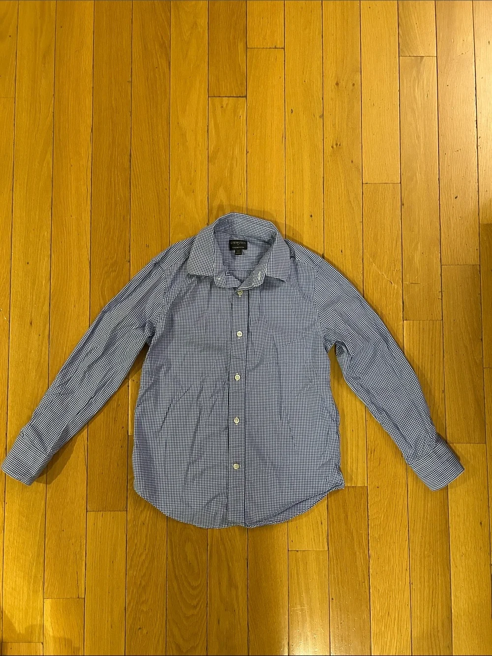 Crewcuts J. Crew Boys' Long Sleeve Gingham Button Down Shirt Size 10 Blue White